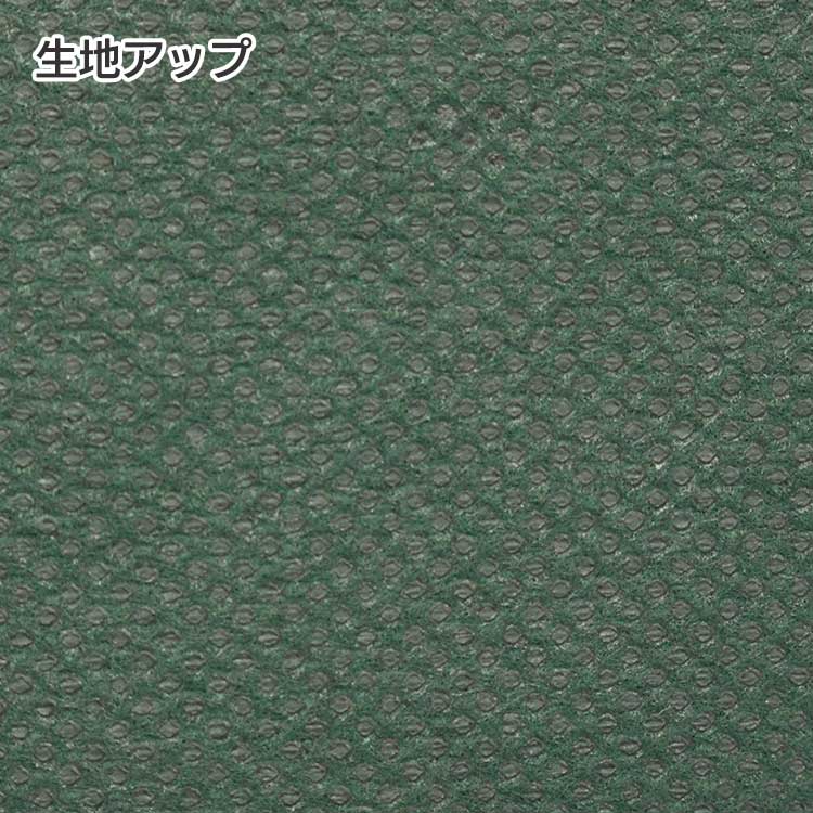 コロリドA4サイズ不織布バッグ熱溶着品の商品画像