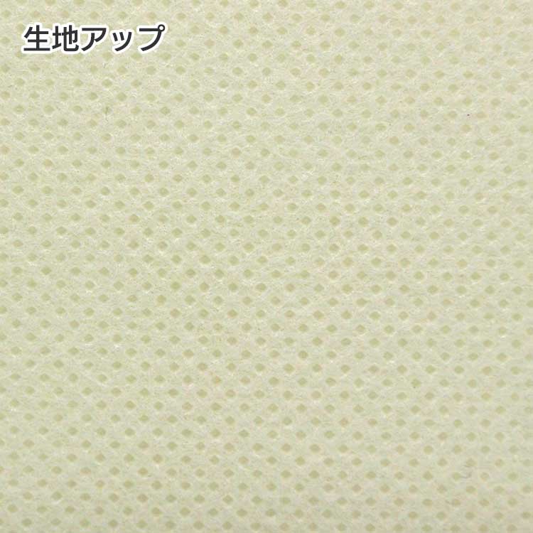 コロリドA4サイズ不織布バッグ熱溶着品の商品画像